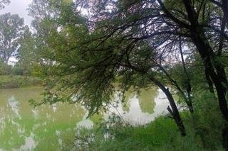 Commercial Property for Sale in Koppies Rural Free State